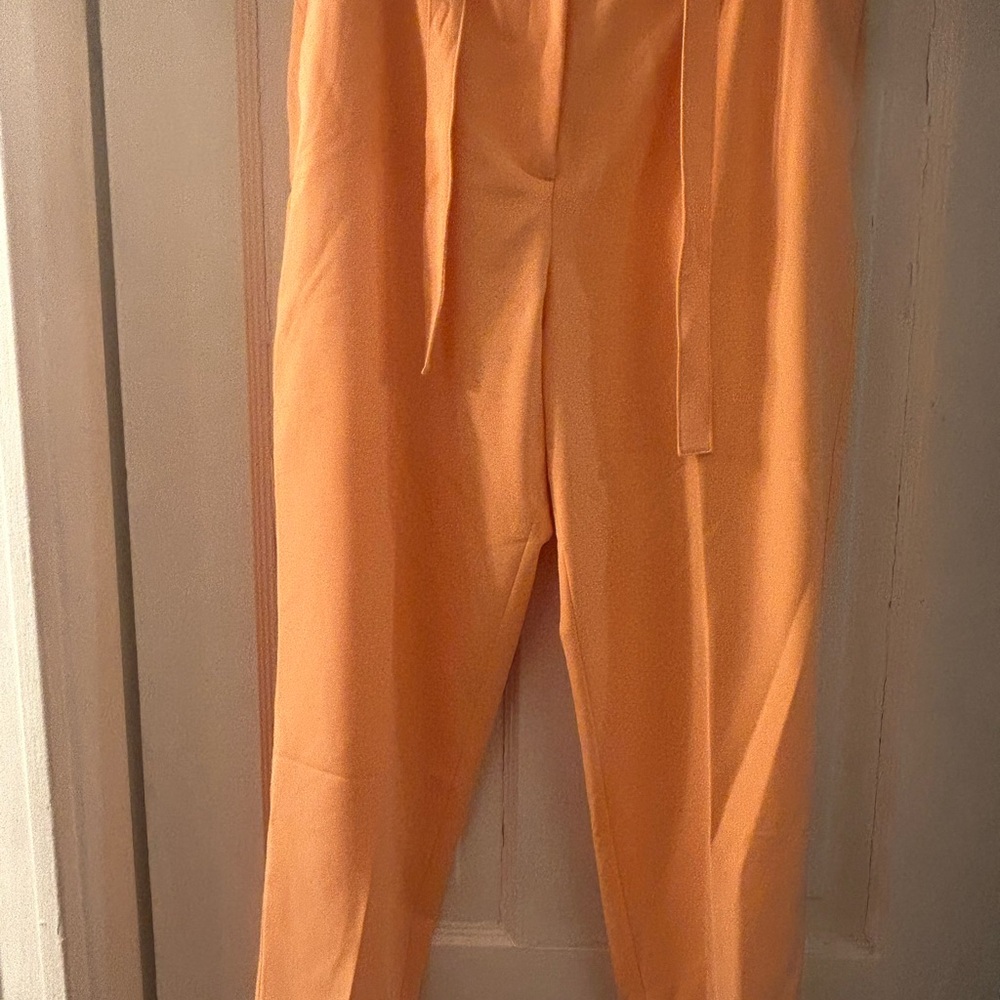 Pants - Picture 2 of 5